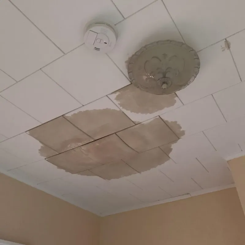 Ceiling Water Damage Repair in Cleveland, TN