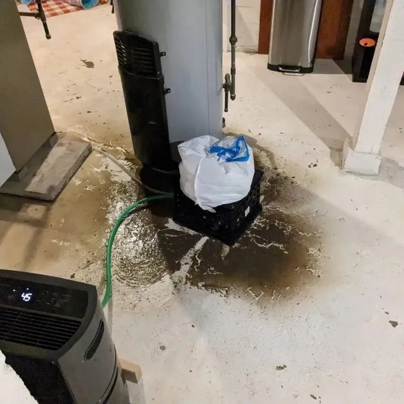 Sewage Backup Cleanup Service in Cleveland, TN